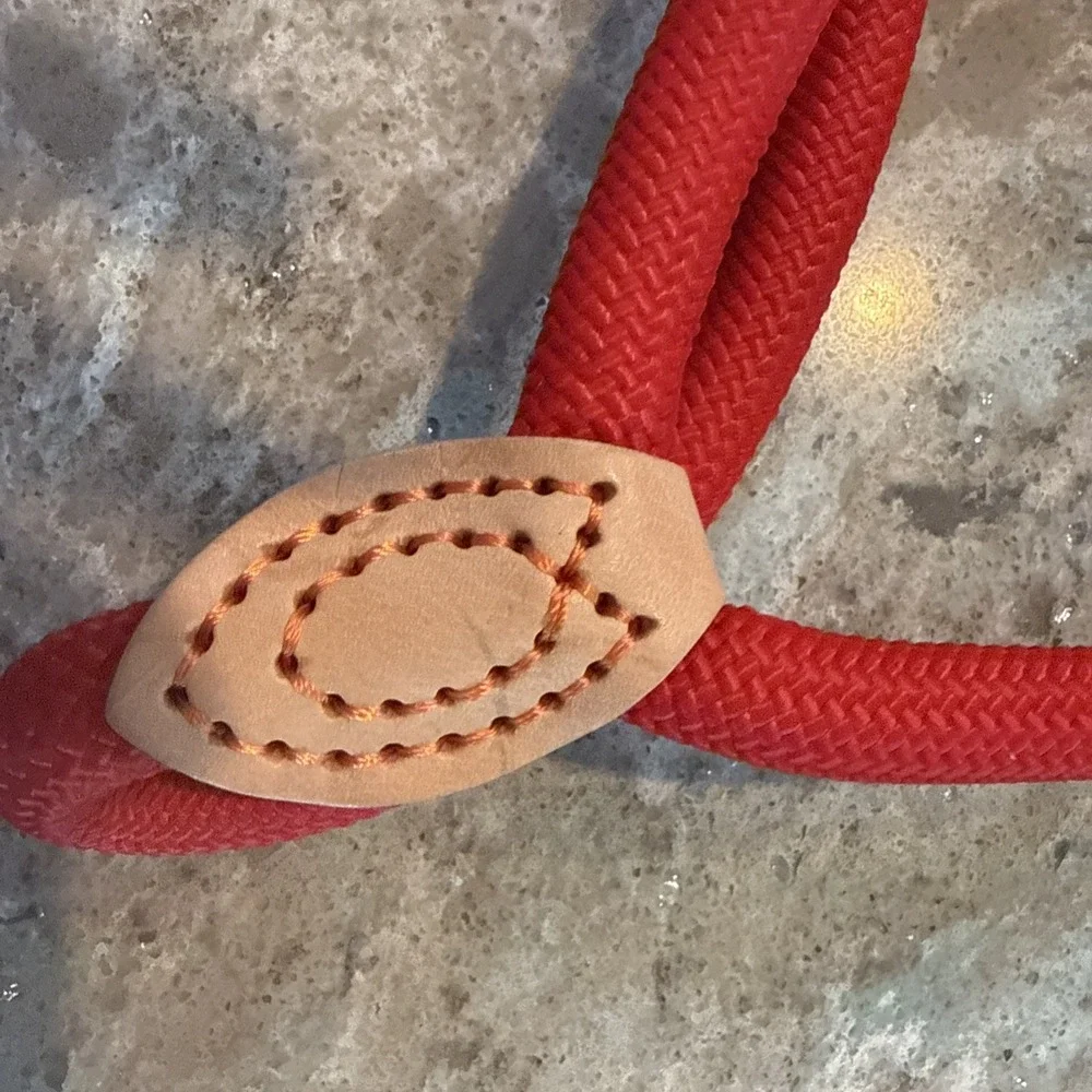 5' Nylon Leather Slip Lead Dog‎ Leash Red Dog Training Walking Exercise